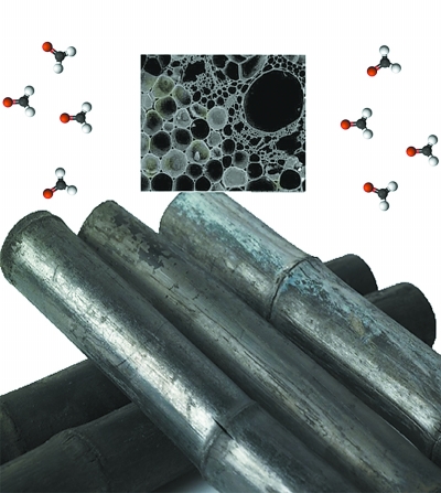 ��̿����ȩ���o�� ��(zhu��n)�ҽ��h����ȩ���푪(y��ng)ԓ�෽������