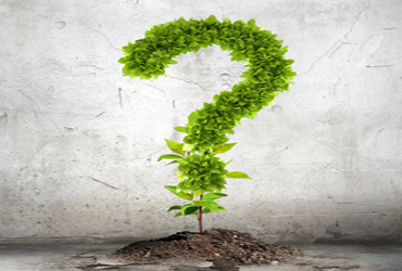 為什么你買的除甲醛植物感覺沒作用? 為什么你買的除甲醛植物感覺沒作用?