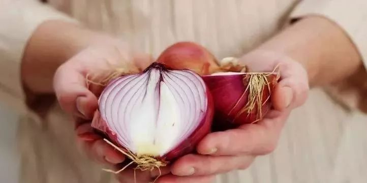 “土方法”洋蔥除甲醛效果嗎? “土方法”洋蔥除甲醛效果嗎?
